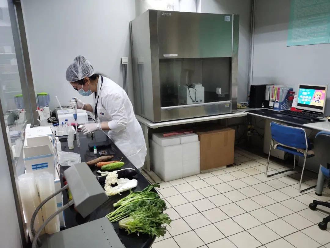 莲花食品检测实验室装修方案
